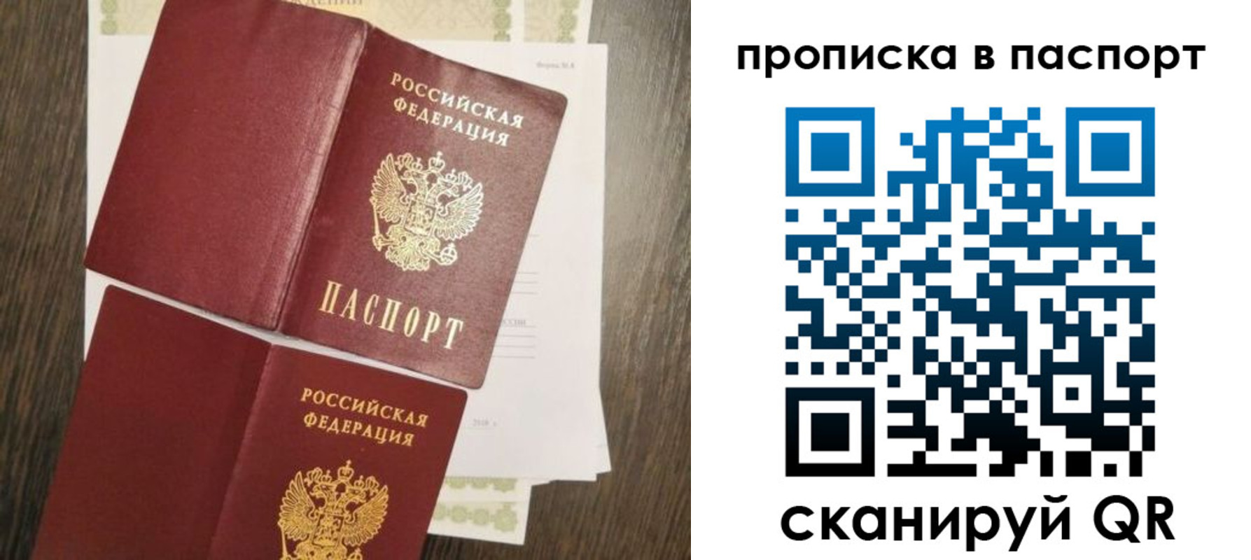 прописка гарантия в Кингисеппе