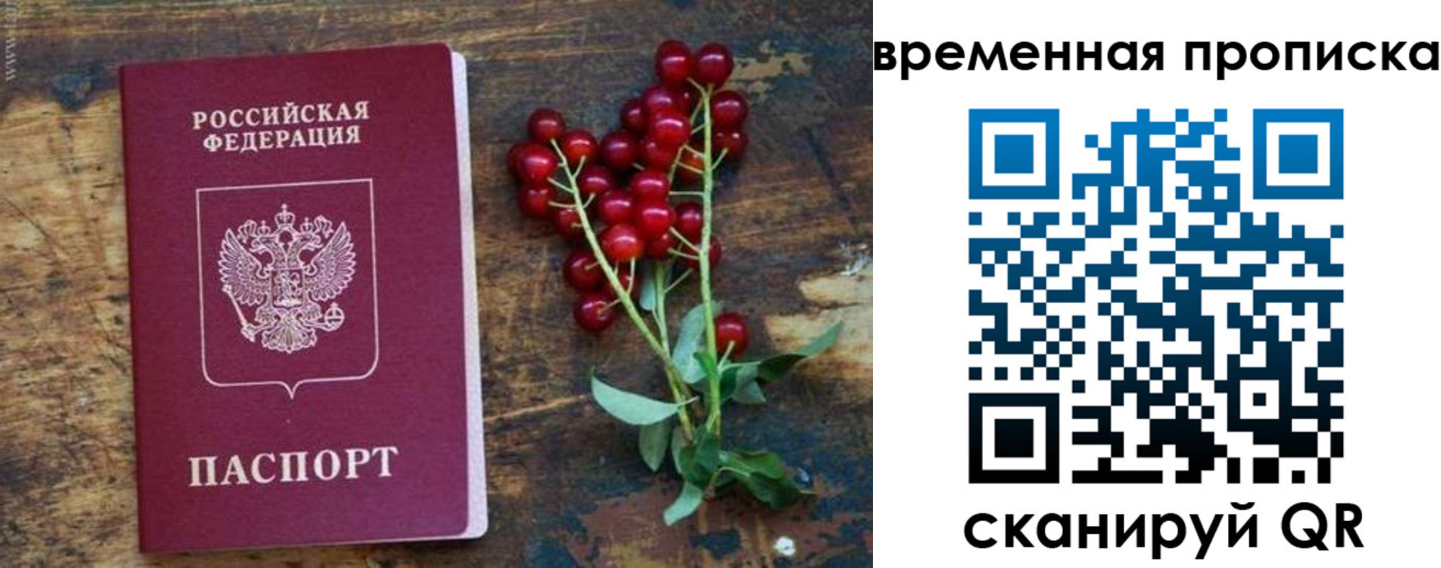 временная регистрация гарантия в Кингисеппе